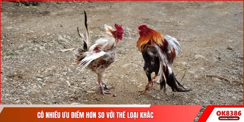 Có nhiều ưu điểm hơn so với thể loại khác