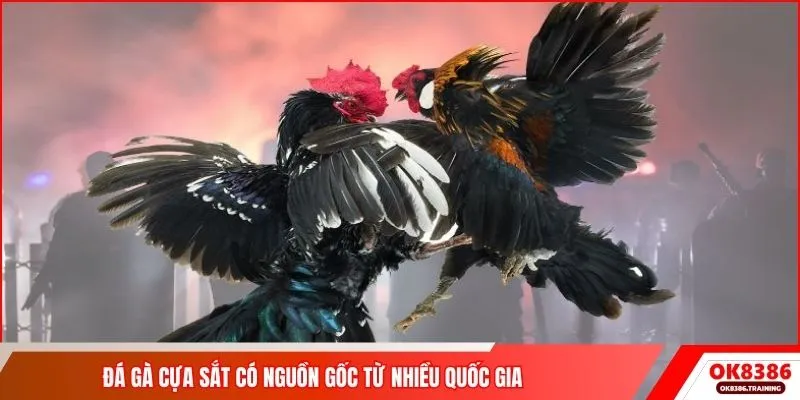 Đá gà cựa sắt có nguồn gốc từ nhiều quốc gia