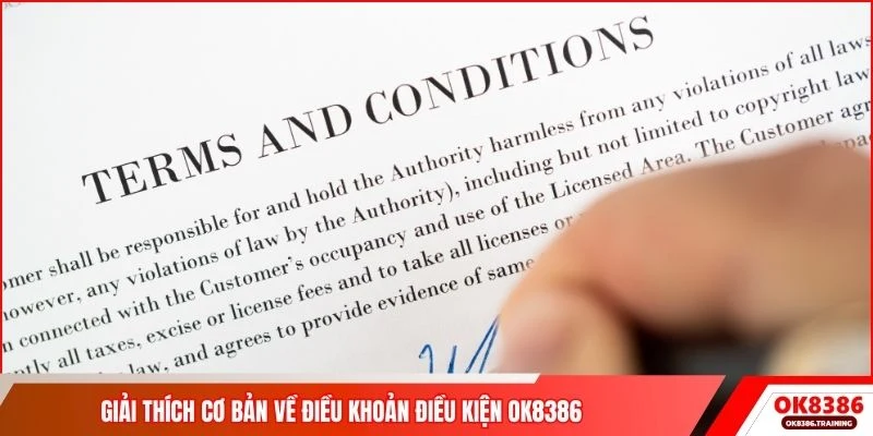 Giải thích cơ bản về điều khoản điều kiện OK8386