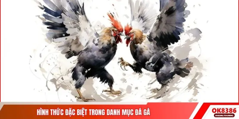 Hình thức đặc biệt trong danh mục đá gà