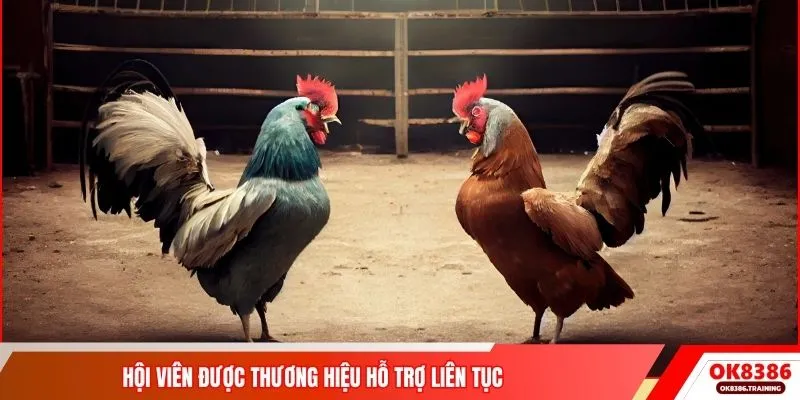 Hội viên được thương hiệu hỗ trợ liên tục