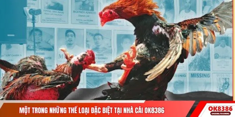 Một trong những thể loại đặc biệt tại nhà cái OK8386