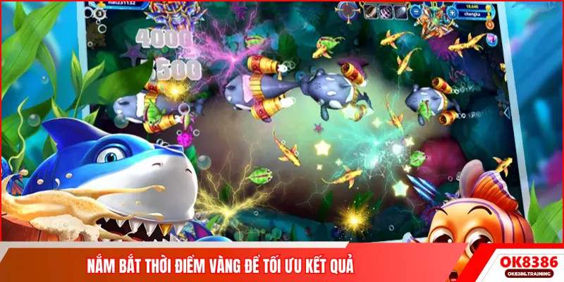 Nắm bắt thời điểm vàng để tối ưu kết quả