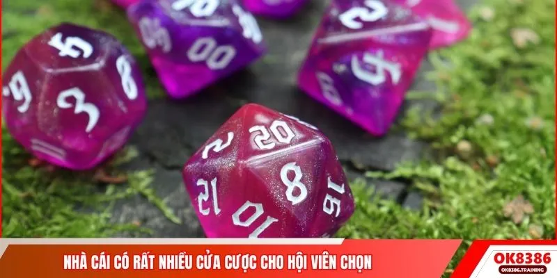 Nhà cái có rất nhiều cửa cược cho hội viên chọn