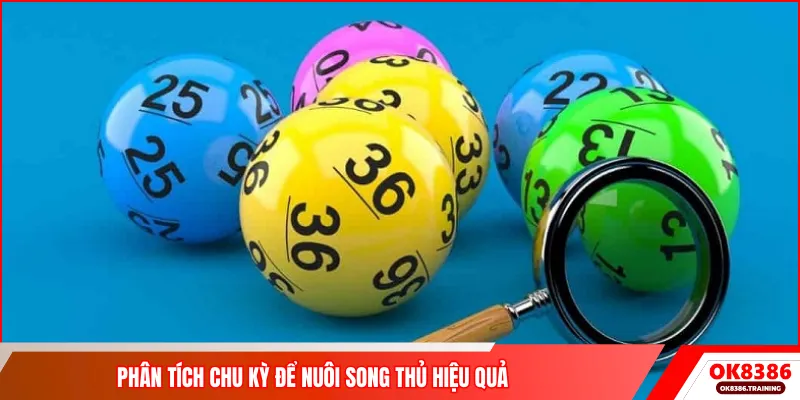 Phân tích chu kỳ để nuôi song thủ hiệu quả